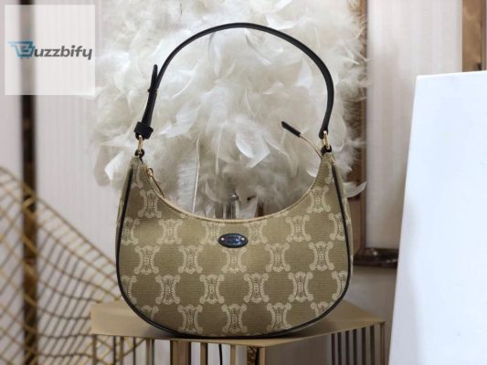 Celine Ava Bag In Triomphe Canvas Xl Beige For Women 9In23cm