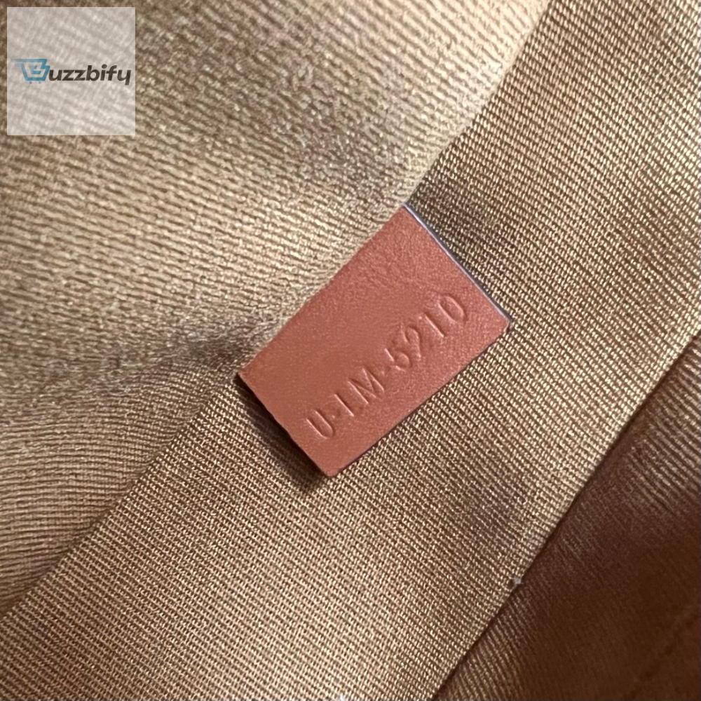 Celine Ava Bag In Triomphe Canvas Xl Brown For Women 9In23.5Cm