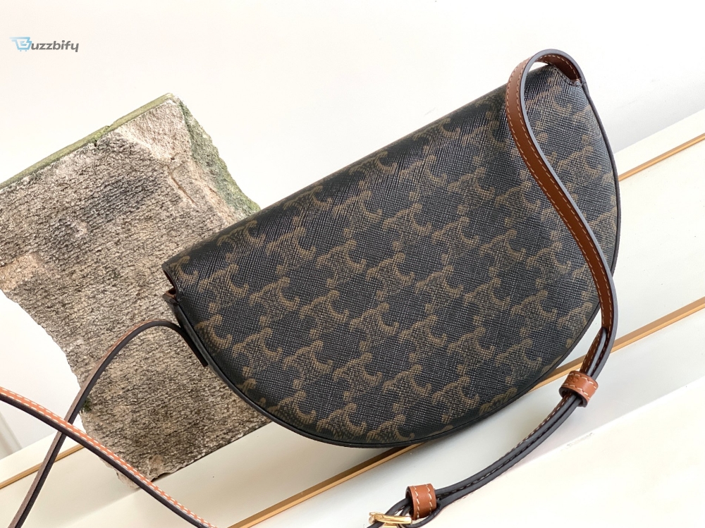 Celine Besace In Triomphe Canvas Bag Brown For Women 9In23cm