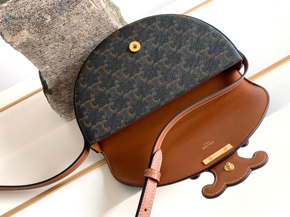 Celine Besace In Triomphe Canvas Bag Brown For Women 9In23cm