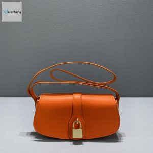 Celine Clutch On Strap Orange For Women 7In18cm