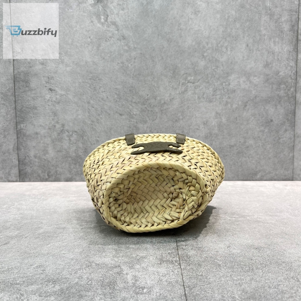 Celine Teen Triomphe Classic Pannier Tote Dark Green For Women 8In20cm