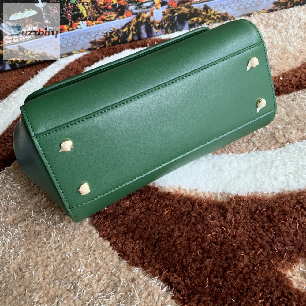 Dolce Gabbana Medium Dg Handbag In Dauphine Green For Women 10.2In26cm Dg