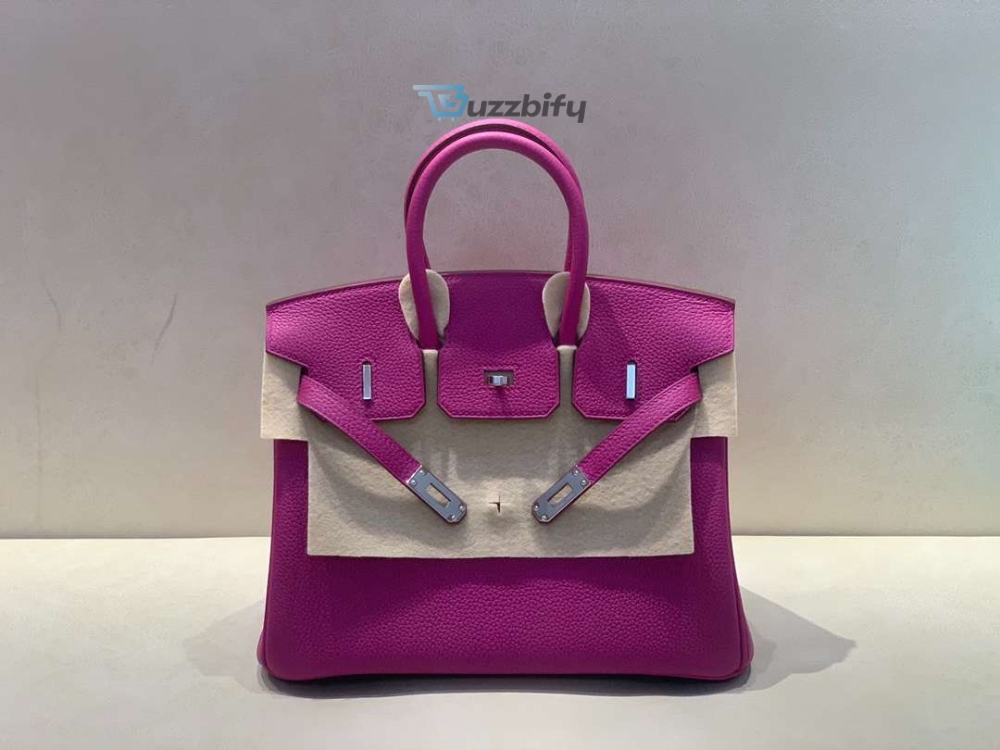 Hermes Brikin 25 Beton Togo Purple For Women 25Cm 9.8In